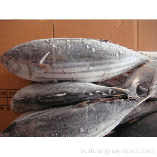 BQF congelado inteiro redondo Skipjack atum para enlatado